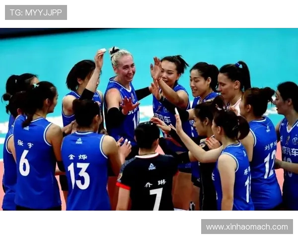 北京排球队的实力分析与未来发展展望探讨